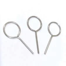 مسمار بيت الشريحة