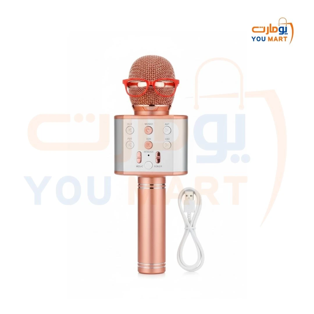 مكبر صوت وميكروفون يد 858